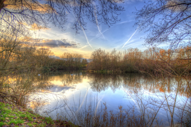 Обои картинки фото природа, реки, озера, лес, река