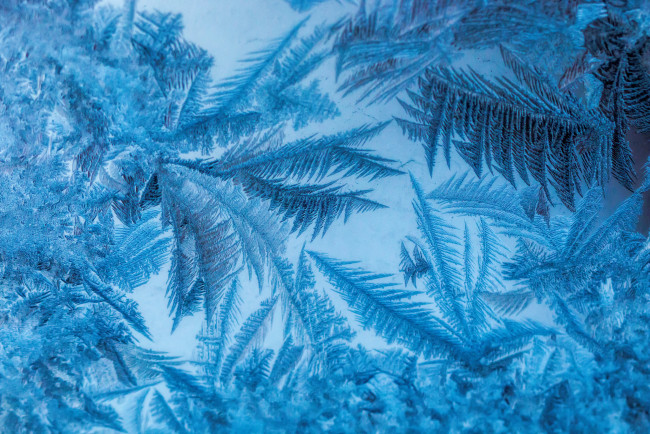 Обои картинки фото природа, макро, узоры