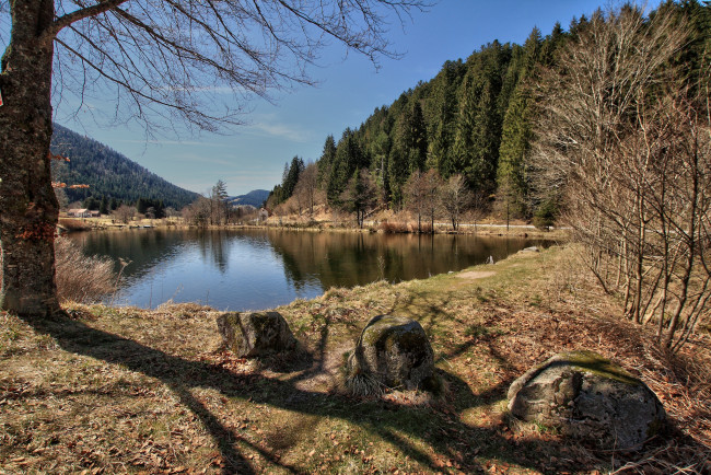 Обои картинки фото природа, реки, озера, река, лес