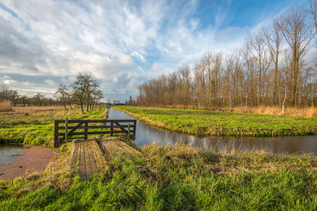 Обои картинки фото природа, реки, озера, река, лес