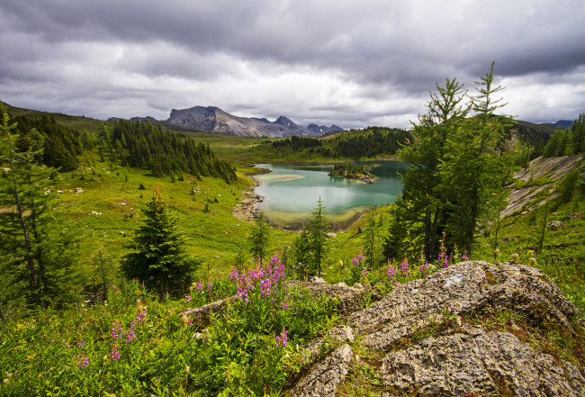 Обои картинки фото природа, реки, озера, река, лес