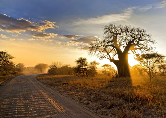 Обои картинки фото природа, дороги, саванна, трава, облака, небо, деревья, дорога, пыль