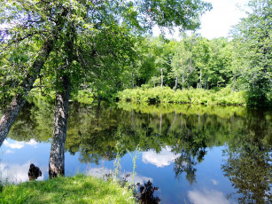 Картинка природа реки озера вода отражение