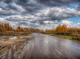 Картинка природа дороги тракт