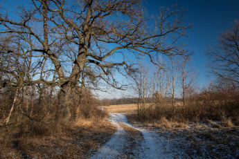 Картинка природа дороги тракт