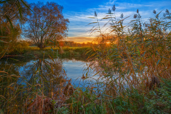 Картинка природа реки озера лес река