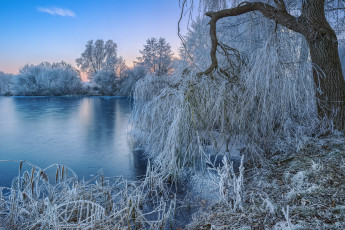 Картинка природа реки озера лес река