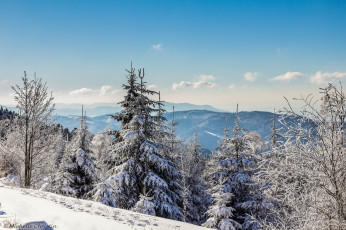 Картинка природа пейзажи простор