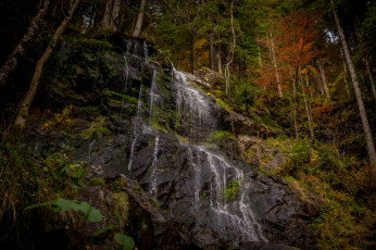 Картинка природа водопады лес река водопад