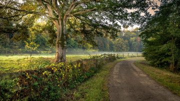 Картинка природа дороги тракт