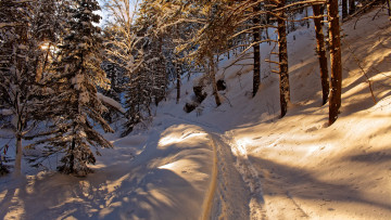 Картинка природа зима снег