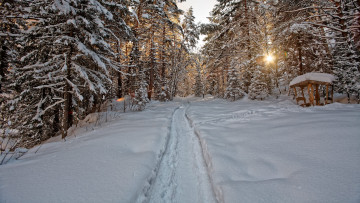 Картинка природа зима тракт