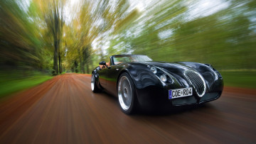 Картинка wiesmann+roadster+mf4+2011 автомобили wiesmann roadster 2011 mf4