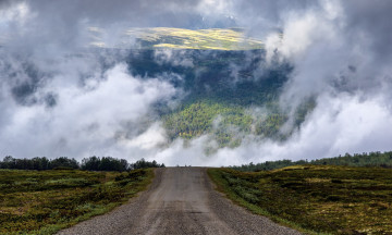 Картинка природа дороги дорога туман