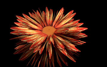 Картинка 3д+графика цветы+ flowers фон цветок