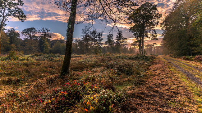 Обои картинки фото природа, дороги, тракт