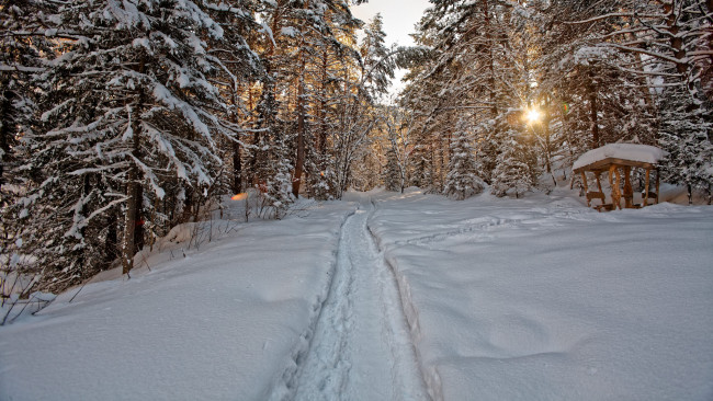 Обои картинки фото природа, зима, тракт