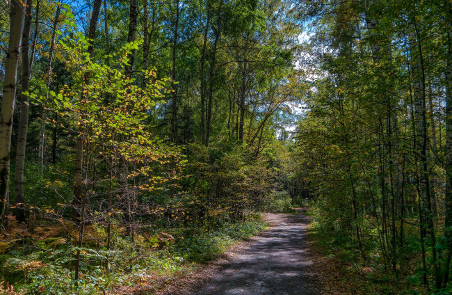 Обои картинки фото природа, дороги, тропика