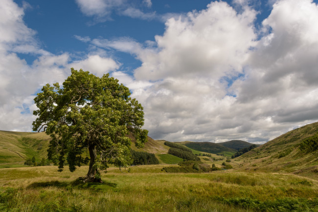 Обои картинки фото природа, пейзажи, простор