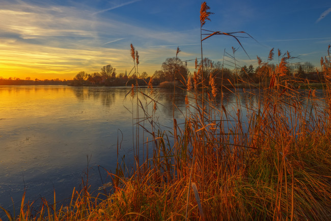 Обои картинки фото природа, реки, озера, лес, река