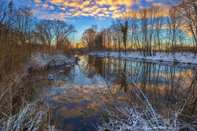 Обои картинки фото природа, реки, озера, лес, река