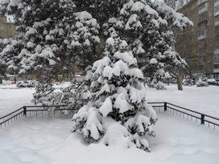 Картинка города -+пейзажи елка зима природа