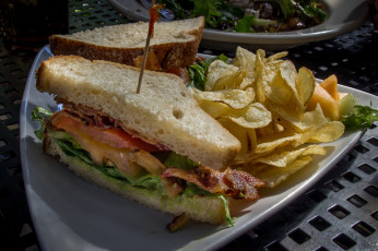 Картинка еда бутерброды +гамбургеры +канапе снедь