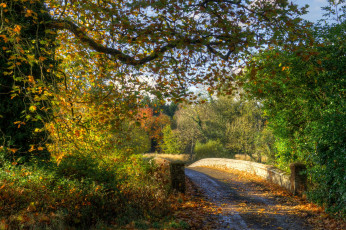 Картинка природа дороги простор