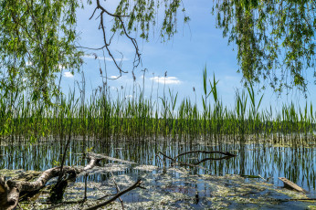 Картинка природа реки озера простор