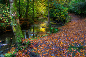 Картинка природа реки озера простор