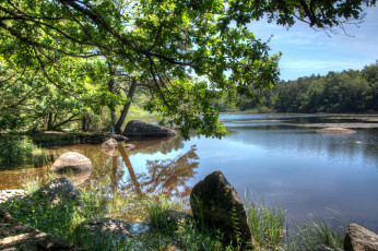 Картинка природа реки озера простор