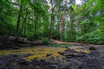 Картинка природа реки озера простор