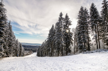 Картинка природа зима простор