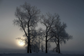 Картинка природа зима простор