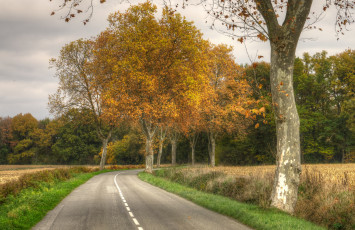 Картинка природа дороги простор