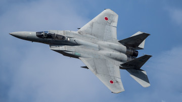 Картинка eagle авиация боевые+самолёты ввс