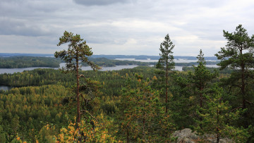 Картинка природа пейзажи простор