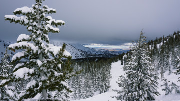 Картинка природа пейзажи простор