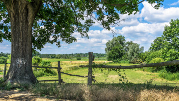 Картинка природа пейзажи простор