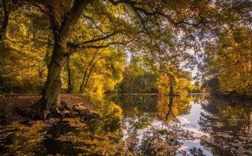 Картинка природа реки озера простор