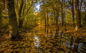 Картинка природа реки озера простор