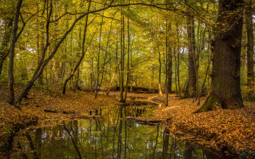 Картинка природа реки озера простор