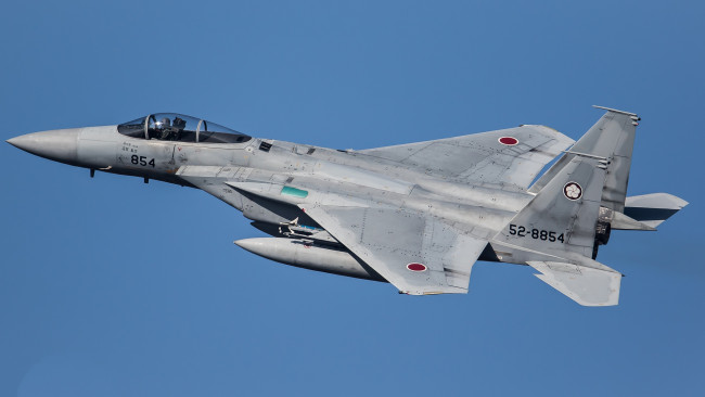 Обои картинки фото eagle, авиация, боевые самолёты, ввс