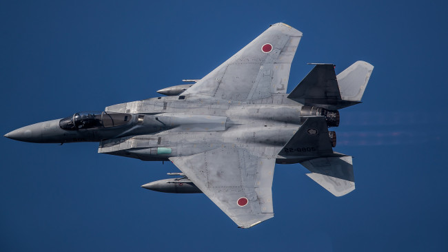 Обои картинки фото eagle, авиация, боевые самолёты, ввс