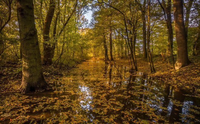 Обои картинки фото природа, реки, озера, простор