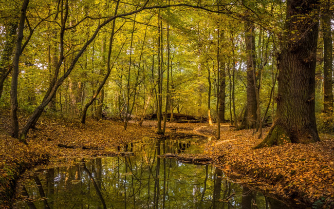 Обои картинки фото природа, реки, озера, простор