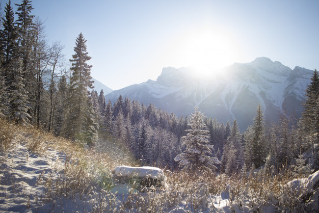 Обои картинки фото природа, горы, простор