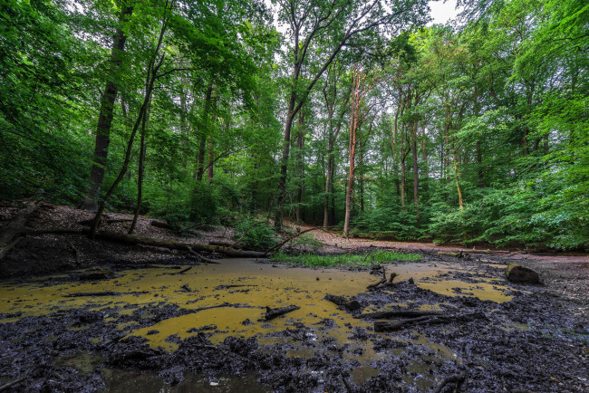 Обои картинки фото природа, реки, озера, простор