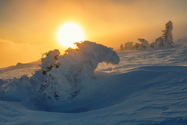 Обои картинки фото природа, зима, простор