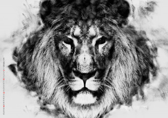 Картинка календари компьютерный+дизайн морда грива взгляд лев